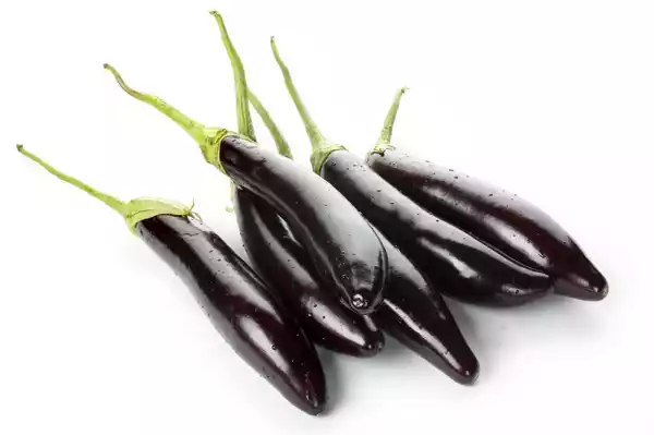 লম্বা বেগুন _Lomba Kalo Begun (Long Brinjal Black)